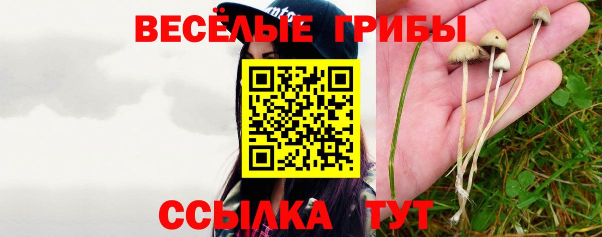 Рузаевка  Псилоцибиновые грибы Magic Shrooms  Вход с VPN 